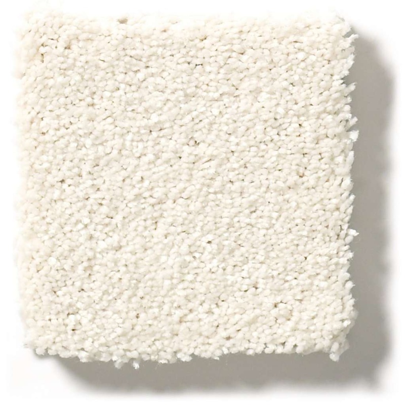 Pet Perfect Plus Basic Rules Oatmeal Polyester Carpet – Textured