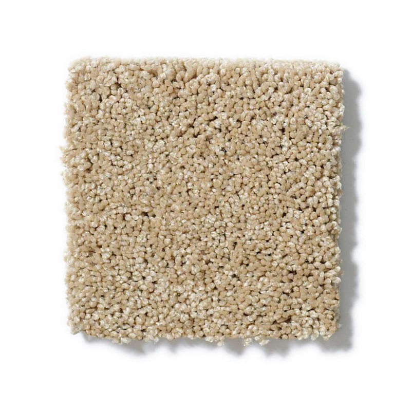 Soft Shades My Choice I Taffeta Nylon Carpet - Textured
