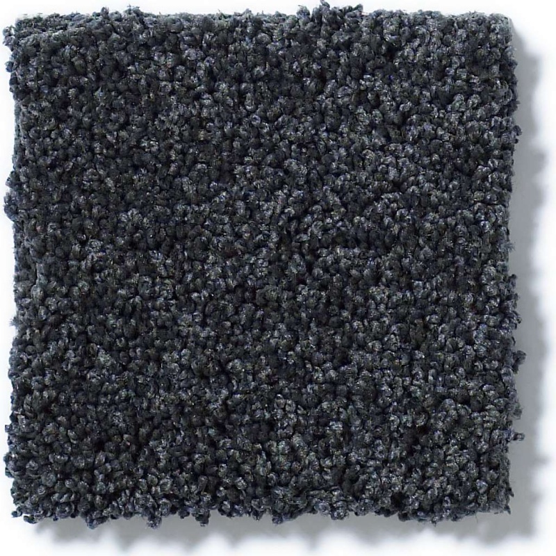 Soft Shades My Choice Ii Indigo Nylon Carpet - Textured