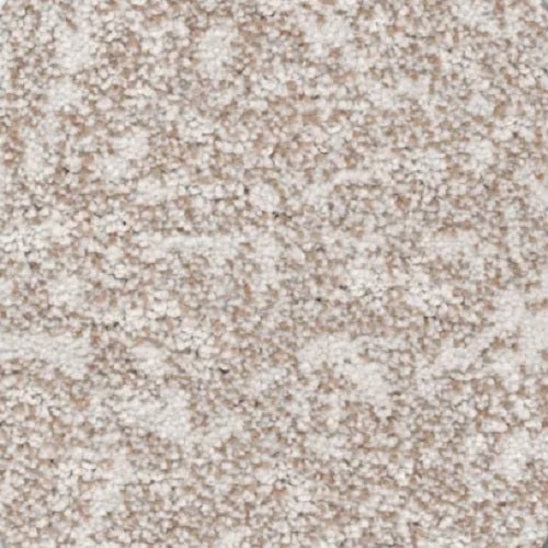 Van Gogh Canvas Polyester Carpet - Pattern