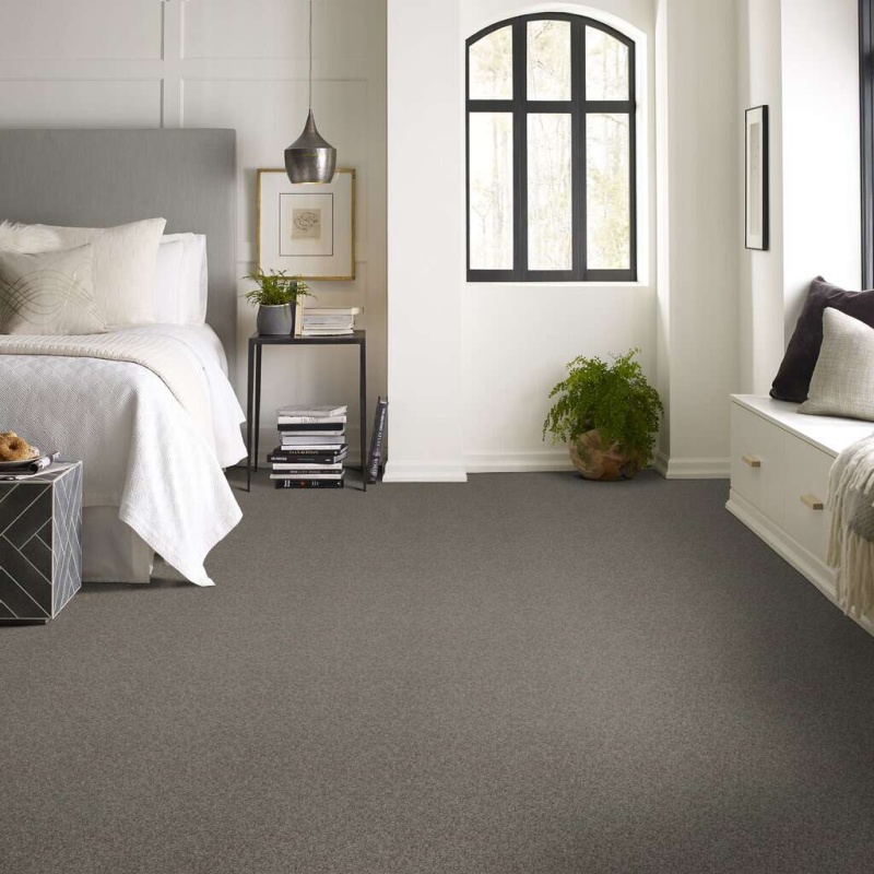 Soft Shades My Choice I Rustic Elegance Nylon Carpet - Textured