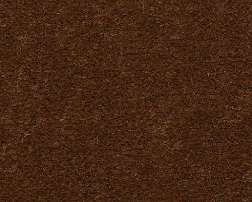 Emphatic Ii 30 Cinnamon Sugar Nylon Carpet - Textured
