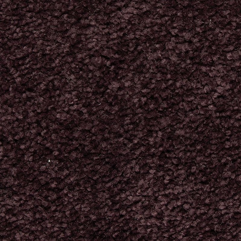 Pleasant Touch Orchid Shadow Triexta Carpet - Textured