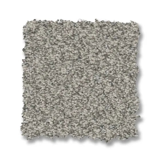 Somerset Platinum Nylon Carpet - Textured
