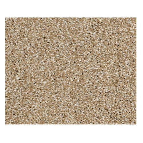 Vacation Day Sombrero Nylon Carpet - Textured