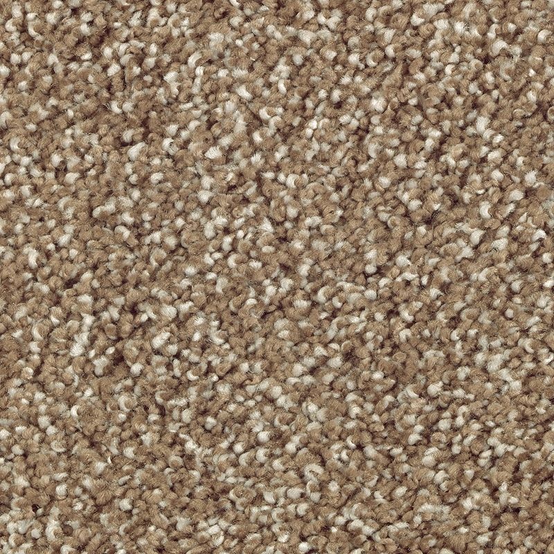 Natural Refinement I Pine Cone Triexta Carpet - Textured