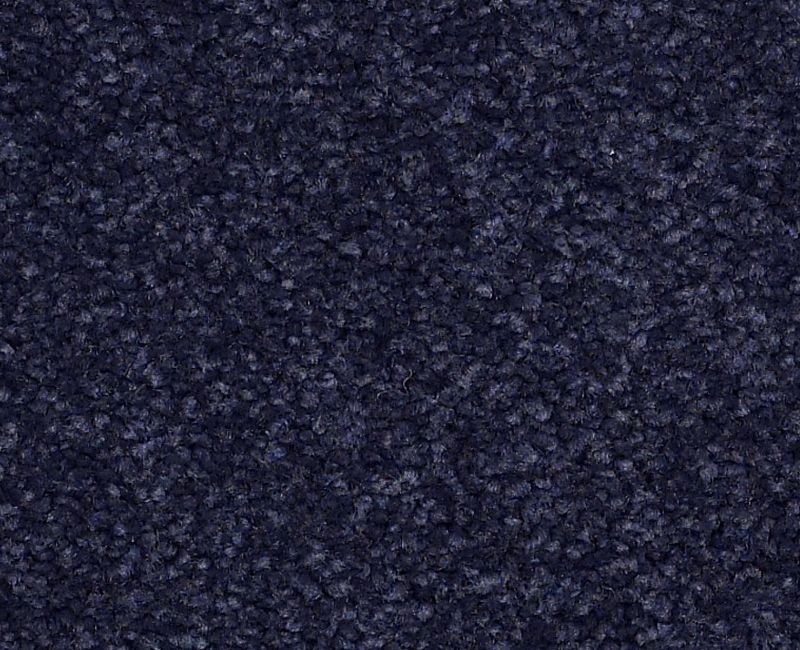 Endura III 12' Indigo Nylon Carpet - Pattern