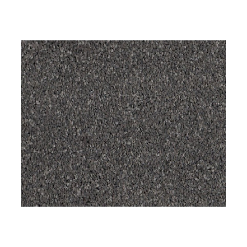 Castle Pv Iii Armory Nylon Carpet - Textured