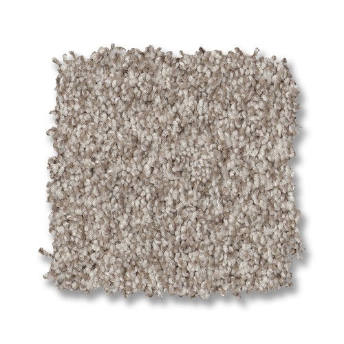 Classics Terra Nova Spun Cotton Nylon Carpet - Textured
