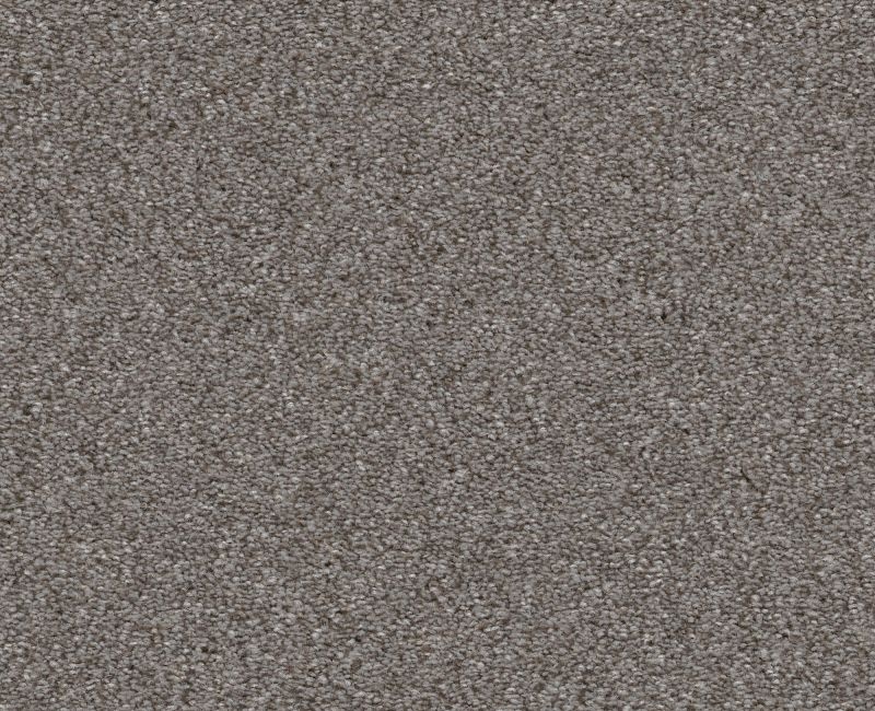 Finders Keepers Arctic Shadow Polyester Carpet - Loop