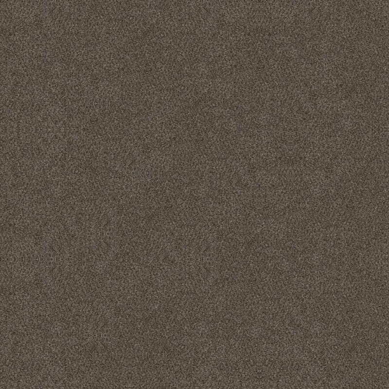 Simply The Best Boundless I Gateway Polyester Carpet - Textured