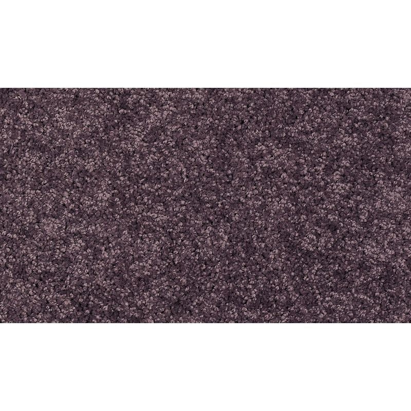 Soft Edition I Imperial Polyester Carpet - Textured