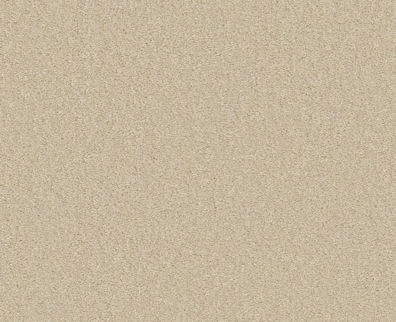Qs580 Parmesan Nylon Carpet - Textured