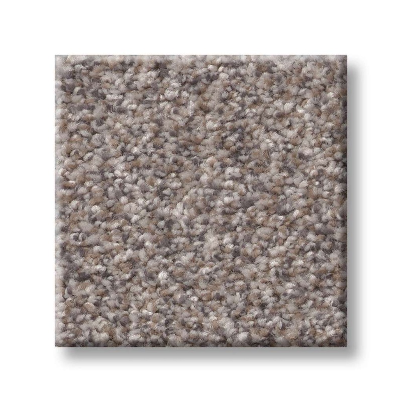 Trusplendor Stainless Polyester Carpet - Textured