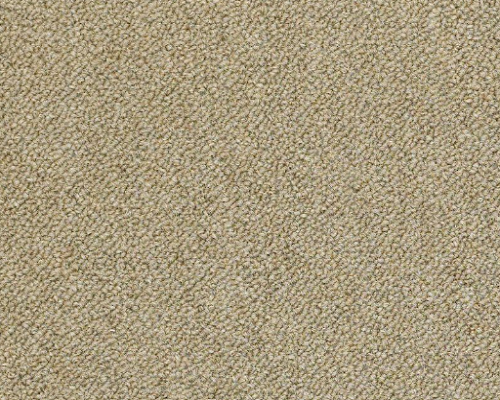 Duo Counterpart Copy Cat Nylon Carpet Tile - Loop - 24" x 24"