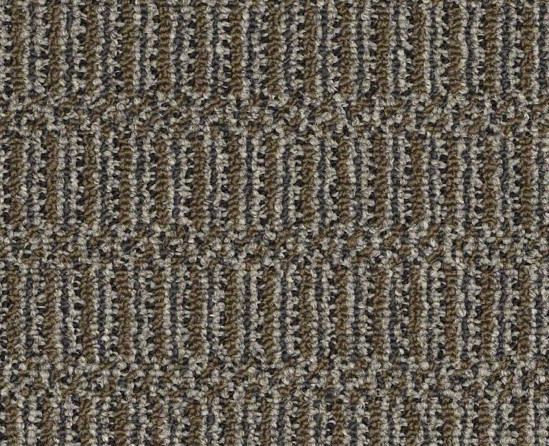 Sourcebook III On Site Warm Gray Nylon Carpet - Loop