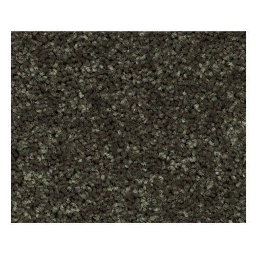 North Shore III Garden Grove Polyester Carpet