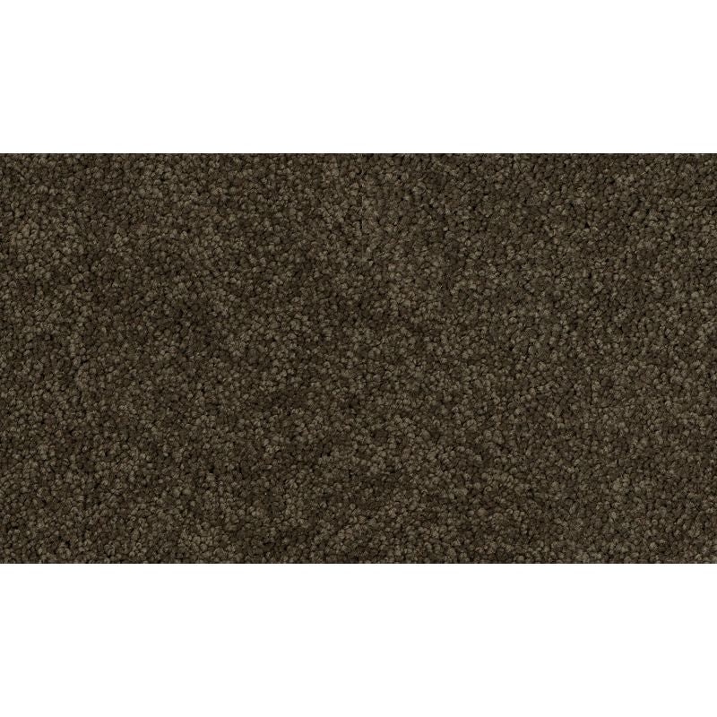 Coastal Fashion Iii Eternity Nylon Carpet - Textured