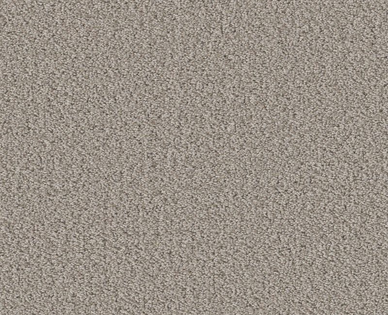 Rare Find Fossil Path Nylon Carpet - Loop