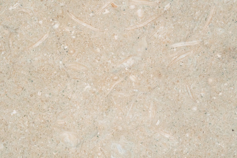 Sea Grass Limestone Tile - Honed