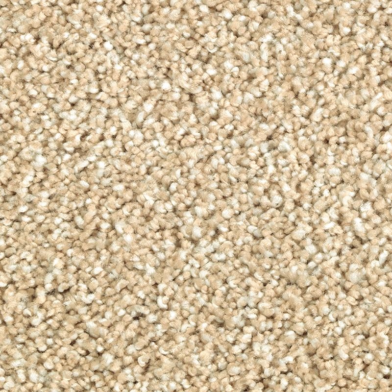 Natural Refinement Ii Beach Pebble Triexta Carpet - Textured