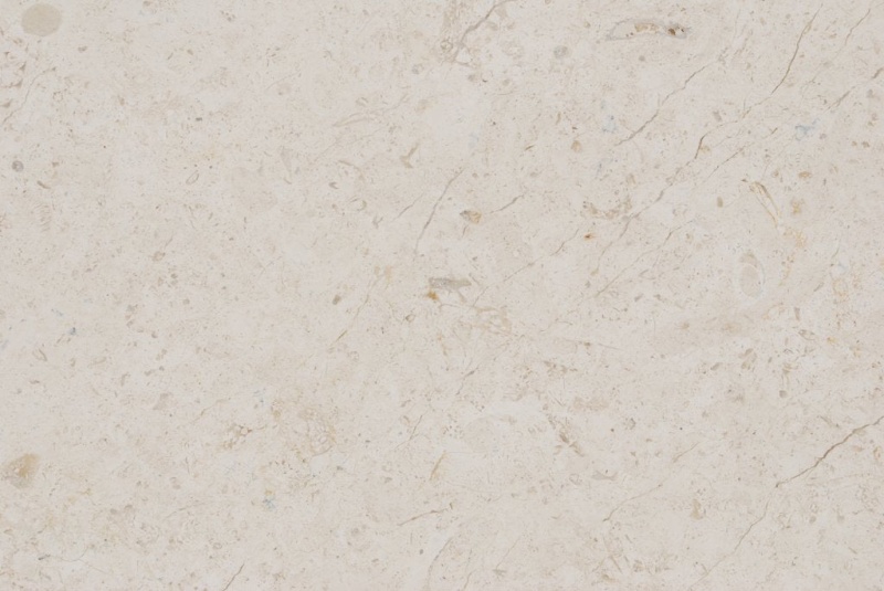 Ramon Bone Limestone Tile - Polished