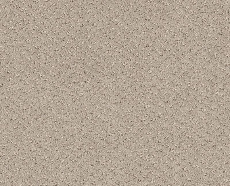Main Squeeze Butter Cream Nylon Carpet - Textured