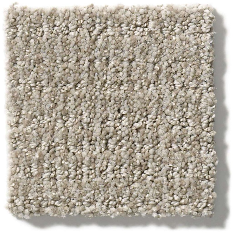 Foundations Sensible Now Silhouette Nylon Carpet - Pattern