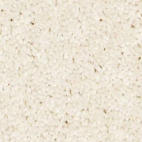 Izzy Butterfly Nylon Carpet - Textured