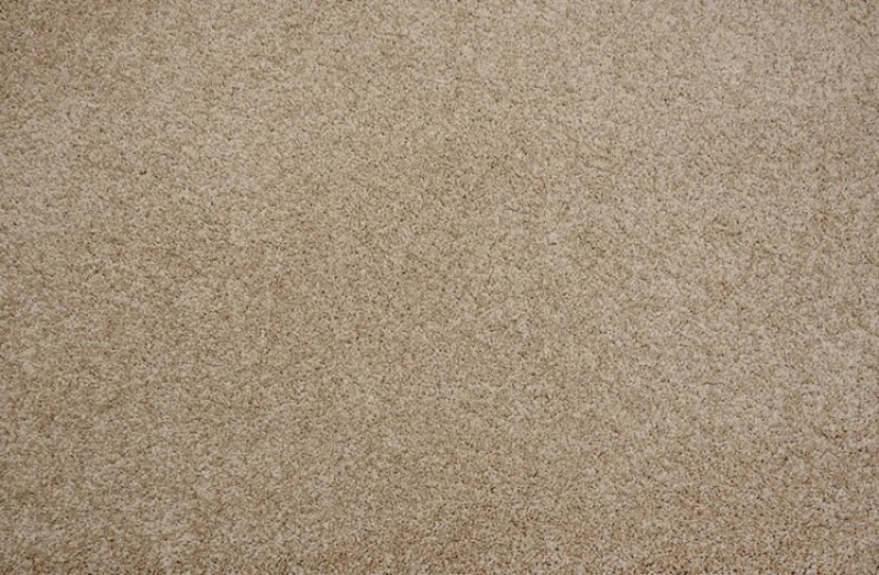 Pet Guard Leland Buff Solution Dyed Polyester Carpet - Plush