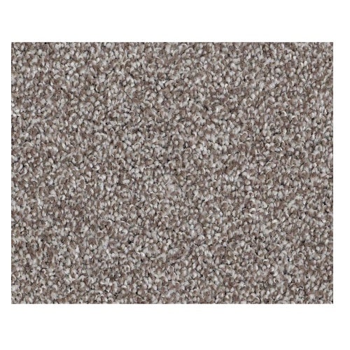 Santa Cruz Beach Moccasin Nylon Carpet - Textured