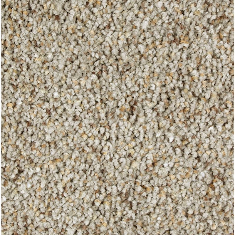 Exquisite Appeal Windsor Castle Triexta Carpet - Textured