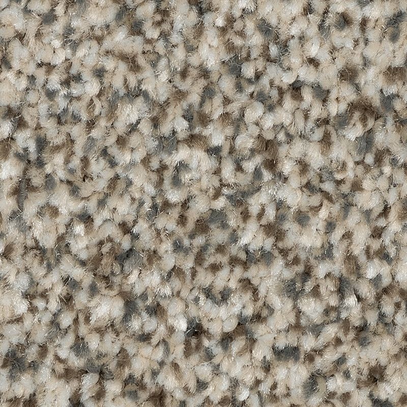Refreshing Shades Majestic Polyester Carpet - Textured