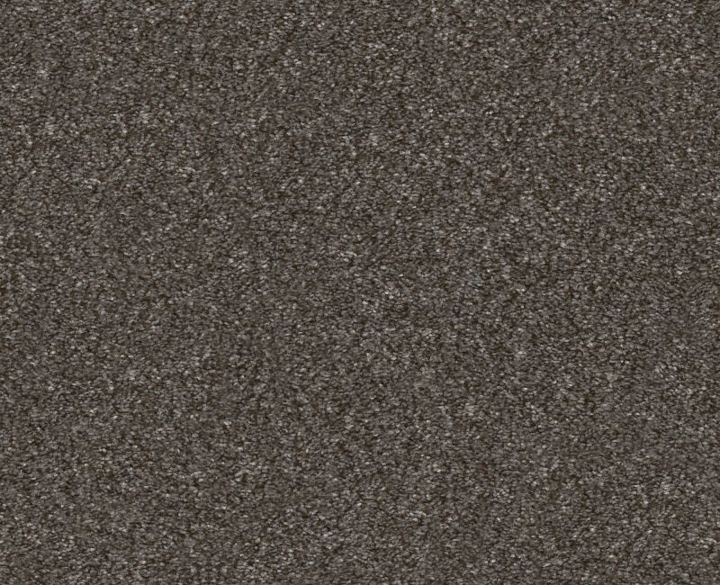 Provisional I Derby Polyester Carpet - Textured