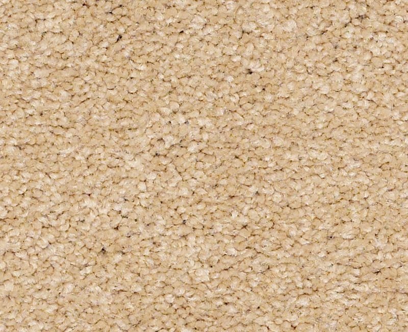 Matira Beach Blonde Nylon Carpet - Textured