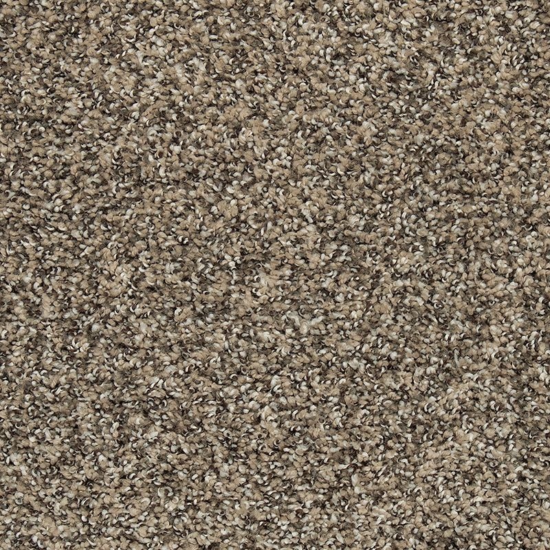Natural Opulence II Harmonious Triexta Carpet - Textured