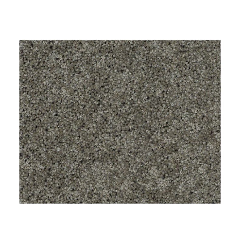 Butterfly Kisses 1 Grey Stone Nylon Carpet - Textured