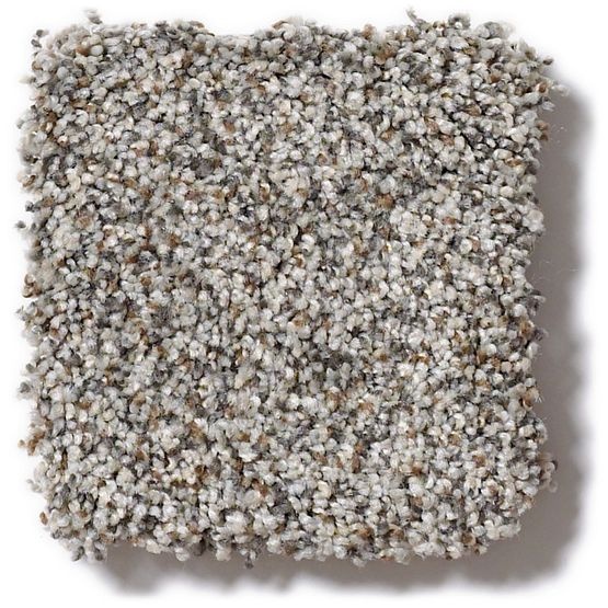 Pet Perfect Mollie's Turn Wirework Nylon Carpet - Textured