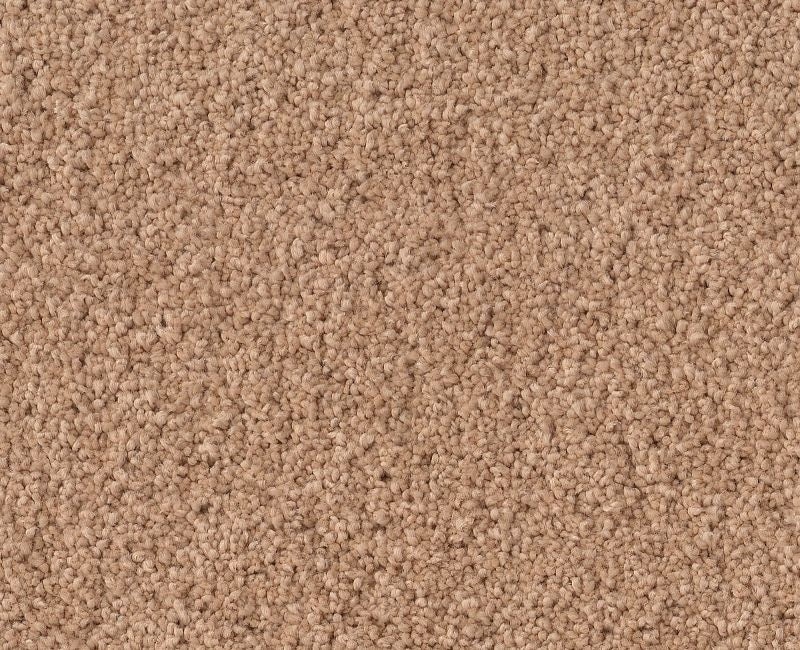 Pelotage Iv Maplewood North Nylon Carpet - Textured