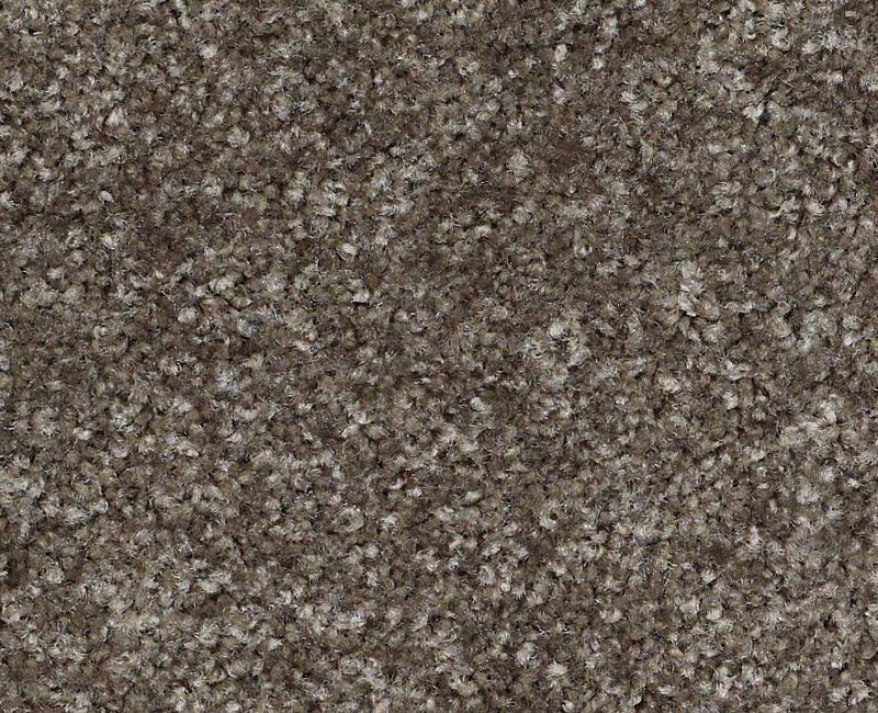 Victory Bunkhouse Nylon Area Rug - Textured