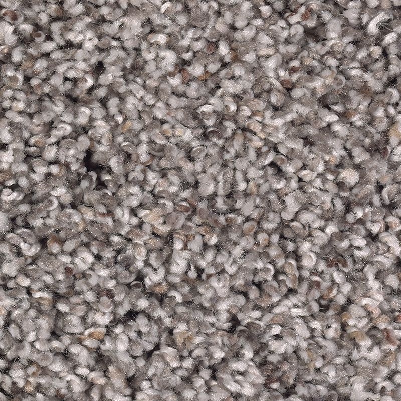 Soft Sensations Ii Brampton Grey Polyester Carpet - Textured
