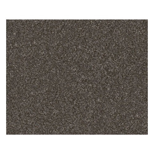 Without Limits I Derby Polyester Carpet - Textured