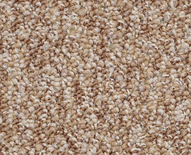 Clearance Sale! No Limits 26 Brown Nylon Carpet - Textured
