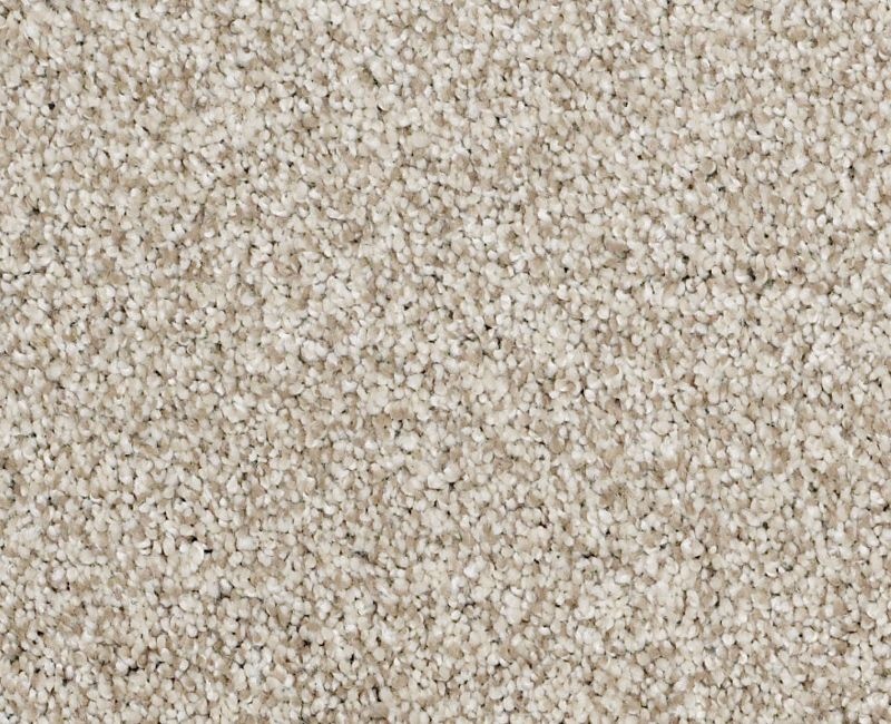 Graceful Texture Tonal Anchorage Textu Nylon Carpet - Textured