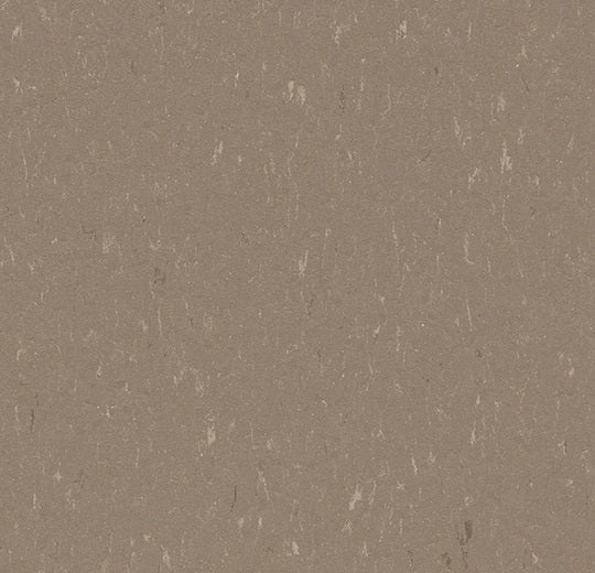 Marmoleum Piano Otter Linoleum - Topshield Pro