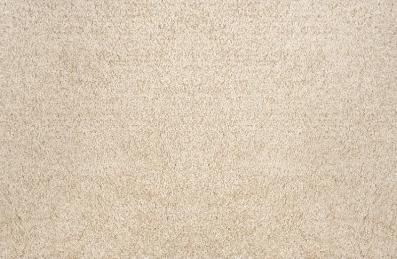 Pet Guard Noble Champagne Loop Carpet