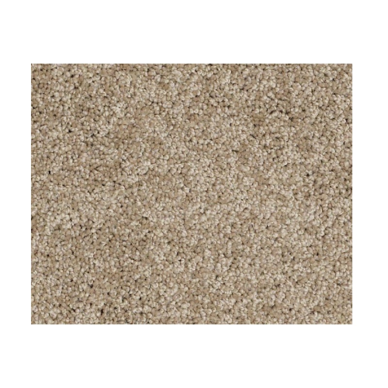 Butterfly Kisses II Mocha Mist Nylon Carpet - Textured