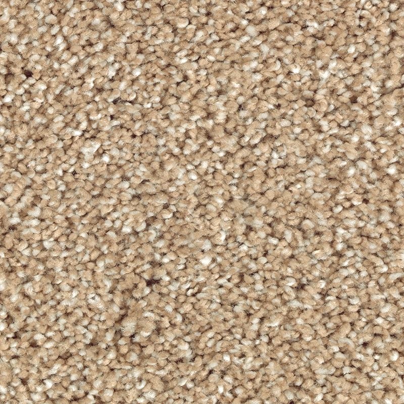 Natural Refinement Ii Natural Grain Triexta Carpet - Textured