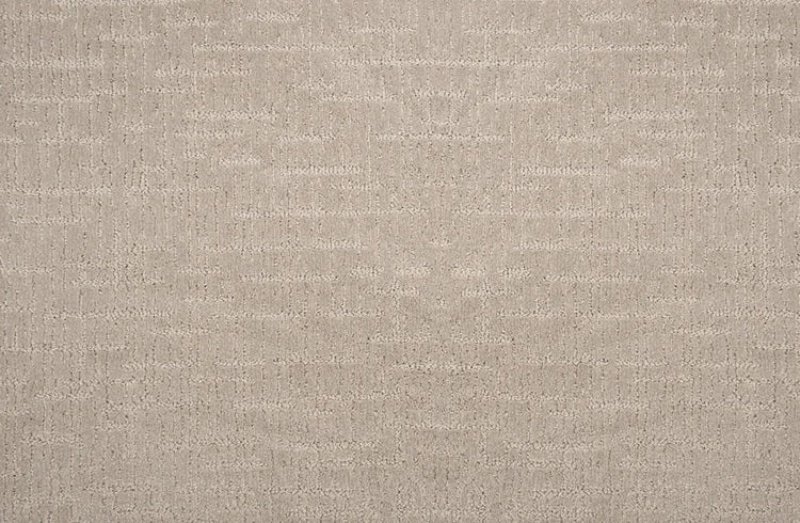 Pet Guard Alistair Stone Solution Dyed Polyes Carpet - Loop