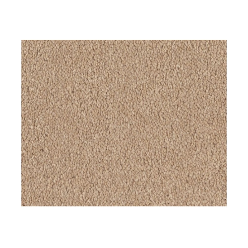 Bright Spirit I 12 Marzipan Nylon Carpet - Textured